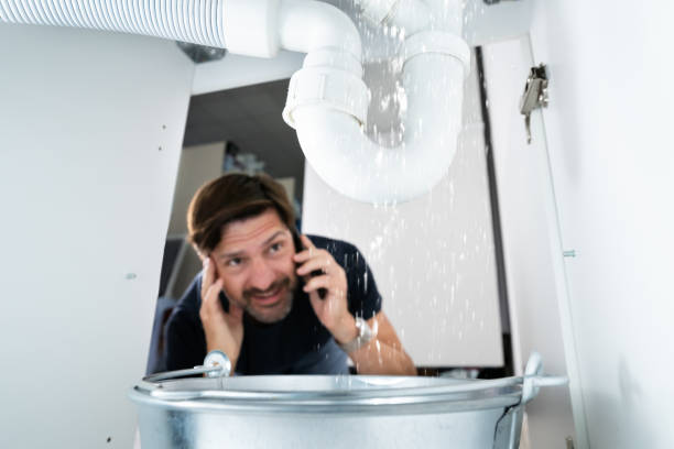 Best Drain Cleaning Services  in Trappe, PA